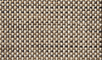 B559(シャーム)ブラウン