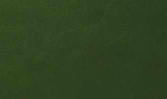 U566(ラルゴ)リーベルダークグリーン