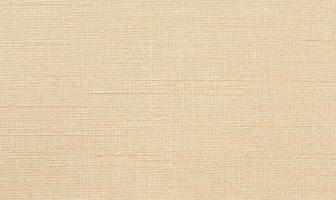 U596(マニエラ)アイボリー