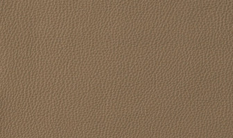 X467(ストラダ)ベージュ