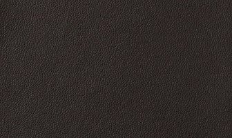 X473(ストラダ)ブラウン