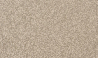 X494(ストラダ)クリーム