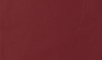 X521(ストラダ)ローズ