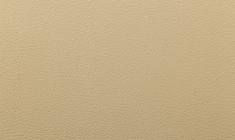 X549(ルーク)ベージュ