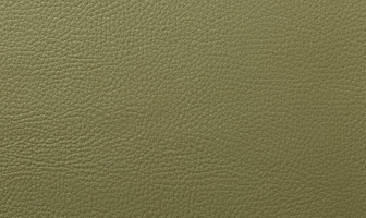 X558(ルーク)グラスグリーン