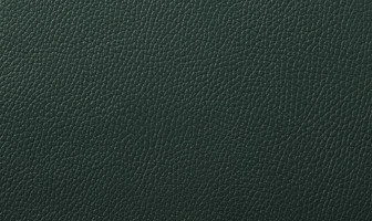 X569(ルーク)ダークグリーン