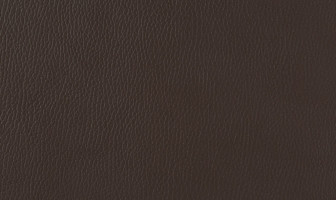 X829(ルーク)ダークブラウン