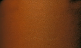 X328(リーベル)ブラウン