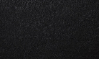 X353(リーベル)ビターブラウン