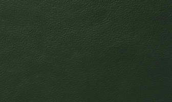 X422(リーベル)ダークグリーン