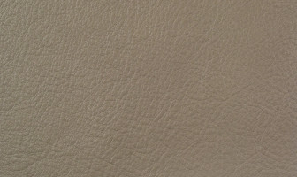 X448(リーベル)グレージュ