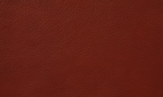 X535(ネオスムース)バーガンディーレッド