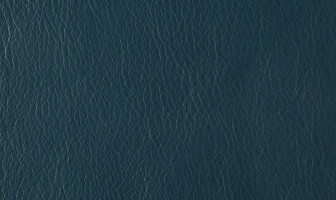 X828(リーベル)グランブルー