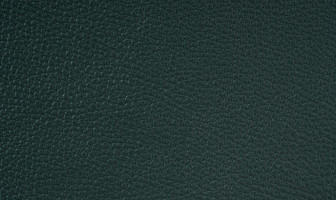 X830(ソフトグレイン)エバーグリーン